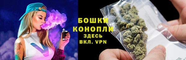 хмурый Дегтярск
