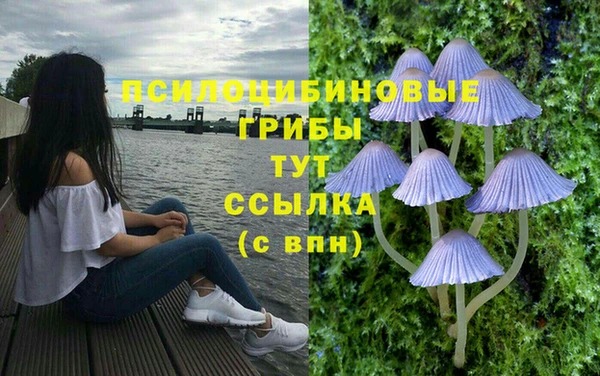 хмурый Дегтярск