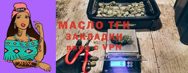 хмурый Дегтярск